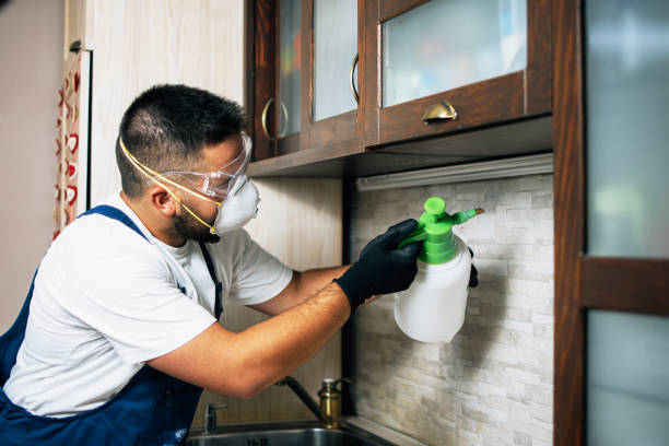 Trusted Gonzales, TX Pest Control Experts