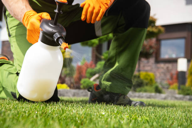 Best Pest Removal Services  in Gonzales, TX