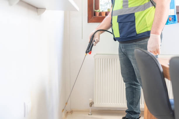Best Local Pest Control Services  in Gonzales, TX